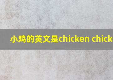 小鸡的英文是chicken chicken